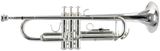  SELMER TR650S Kèn 