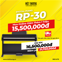 ROLAND RP-30