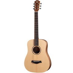TAYLOR BT1