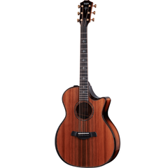 TAYLOR BUILDER's EDITION 914CE