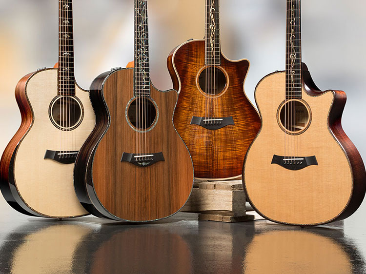 Các loại Gỗ cấu tạo nên đàn guitar điện và guitar acoustic