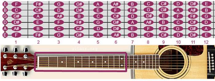 Cách ghi nhớ các nốt trên đàn guitar