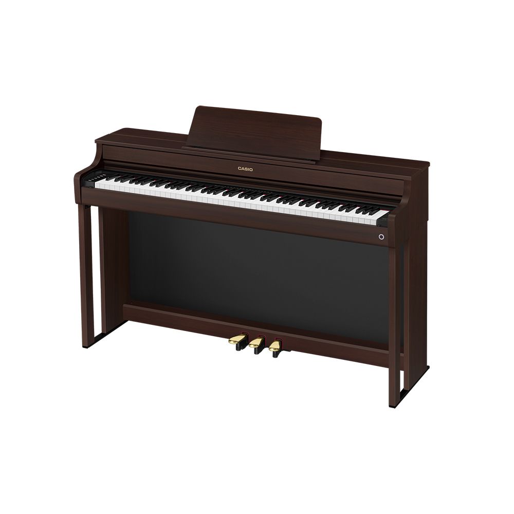  CASIO AP-300BN 