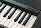  CASIO CT-S1BK 