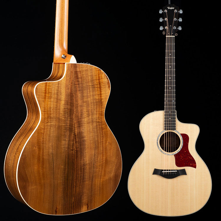 Taylor 214CE nổi bật với viền trắng sắc nét trên cơ thể toàn màu đen
