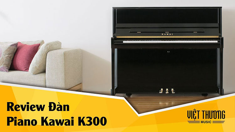 Đàn Organ và đàn Piano là 2 loại nhạc cụ phổ biến 