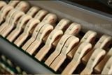  Kawai BL61 