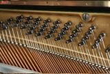  Kawai BL61 