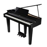  ROLAND GP-3-PE 