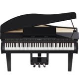  ROLAND GP-3-PE 
