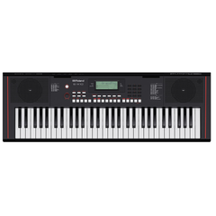 ROLAND E-X10