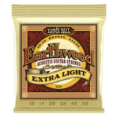 ErnieBall P02006 Dây đàn Guitar