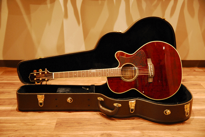 Điểm mặt những cây đàn Guitar Takmine trong chương trình Flash Deals tháng 8/2019