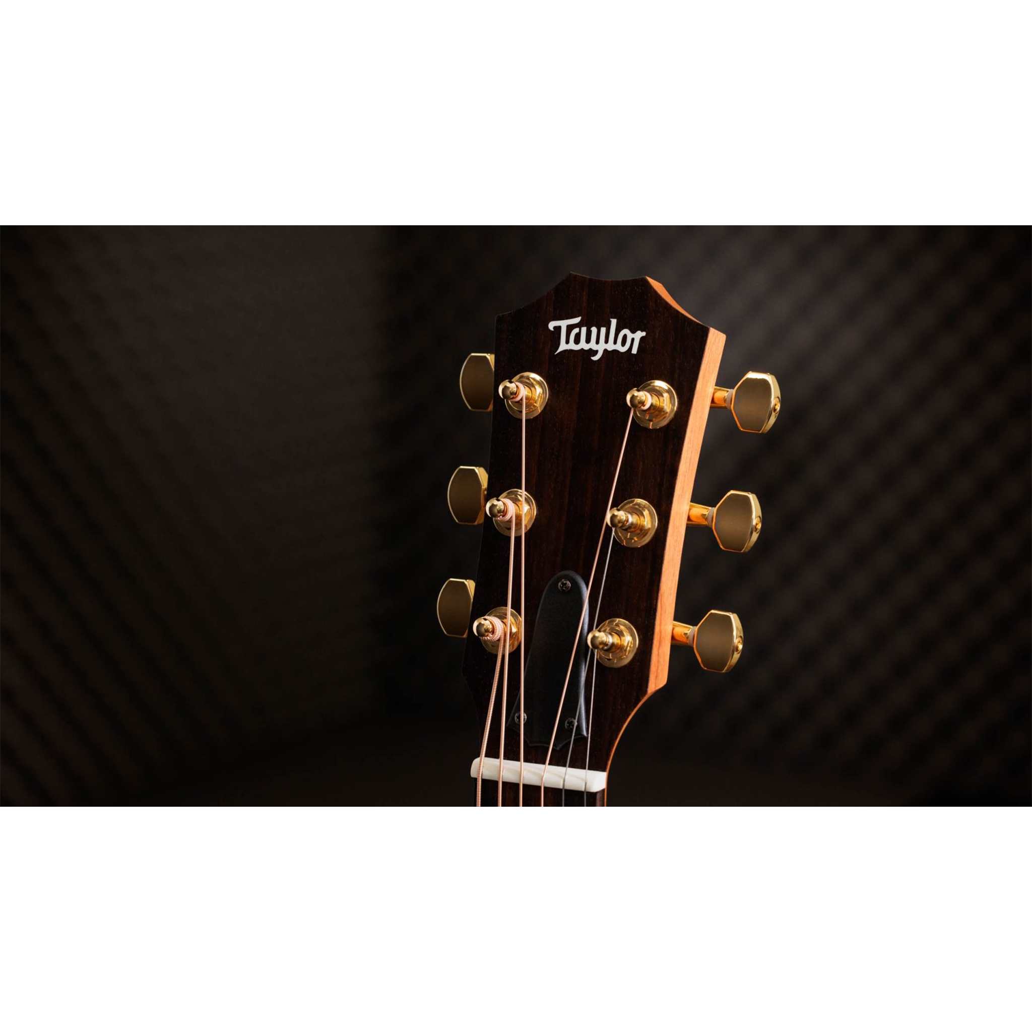  TAYLOR 50TH ANNIVERSARY GSMINI-E ROSEWOOD NATURAL LTD