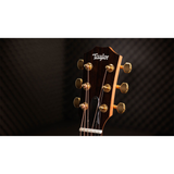  TAYLOR 50TH ANNIVERSARY GSMINI-E ROSEWOOD NATURAL LTD 