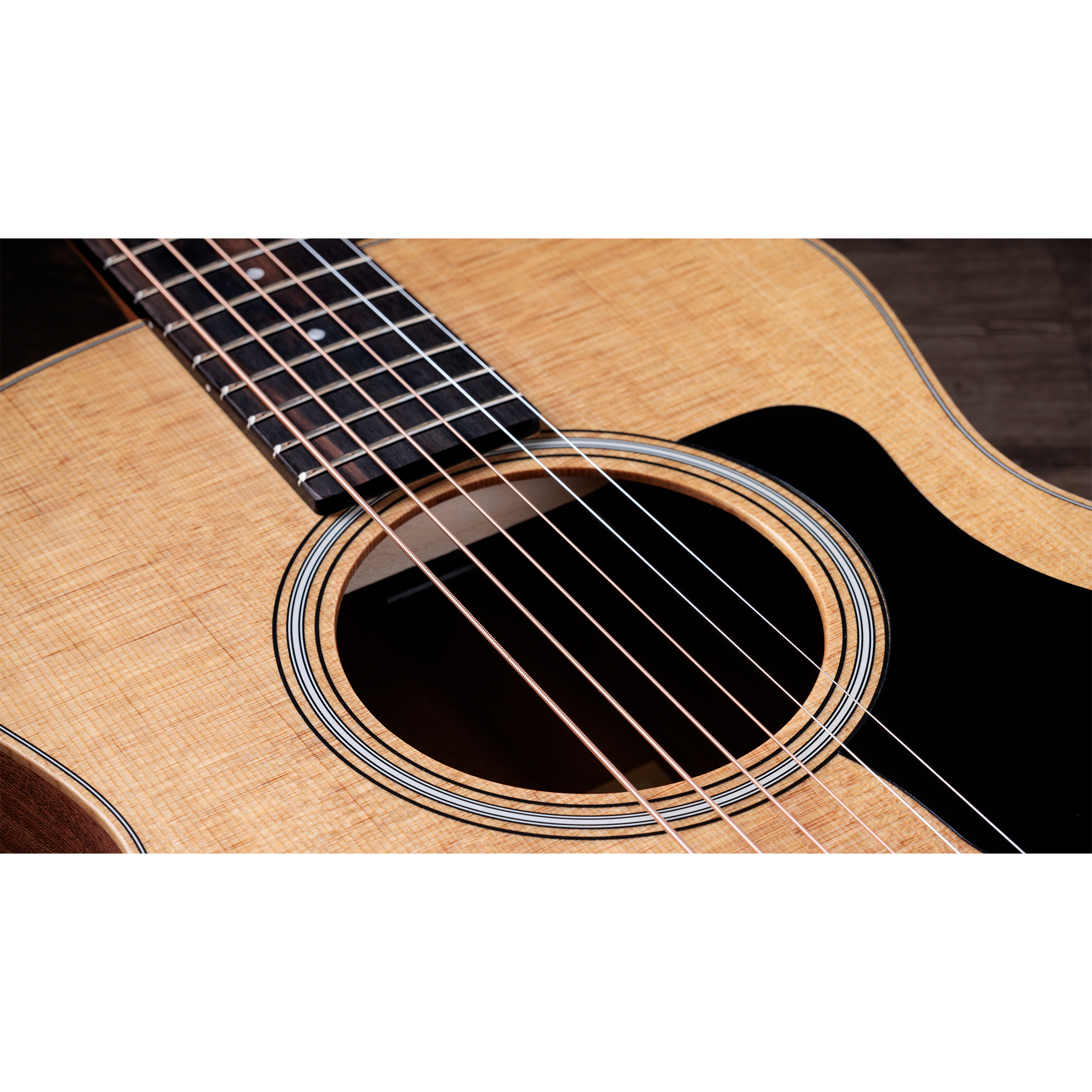  TAYLOR GSMINI SAPELE