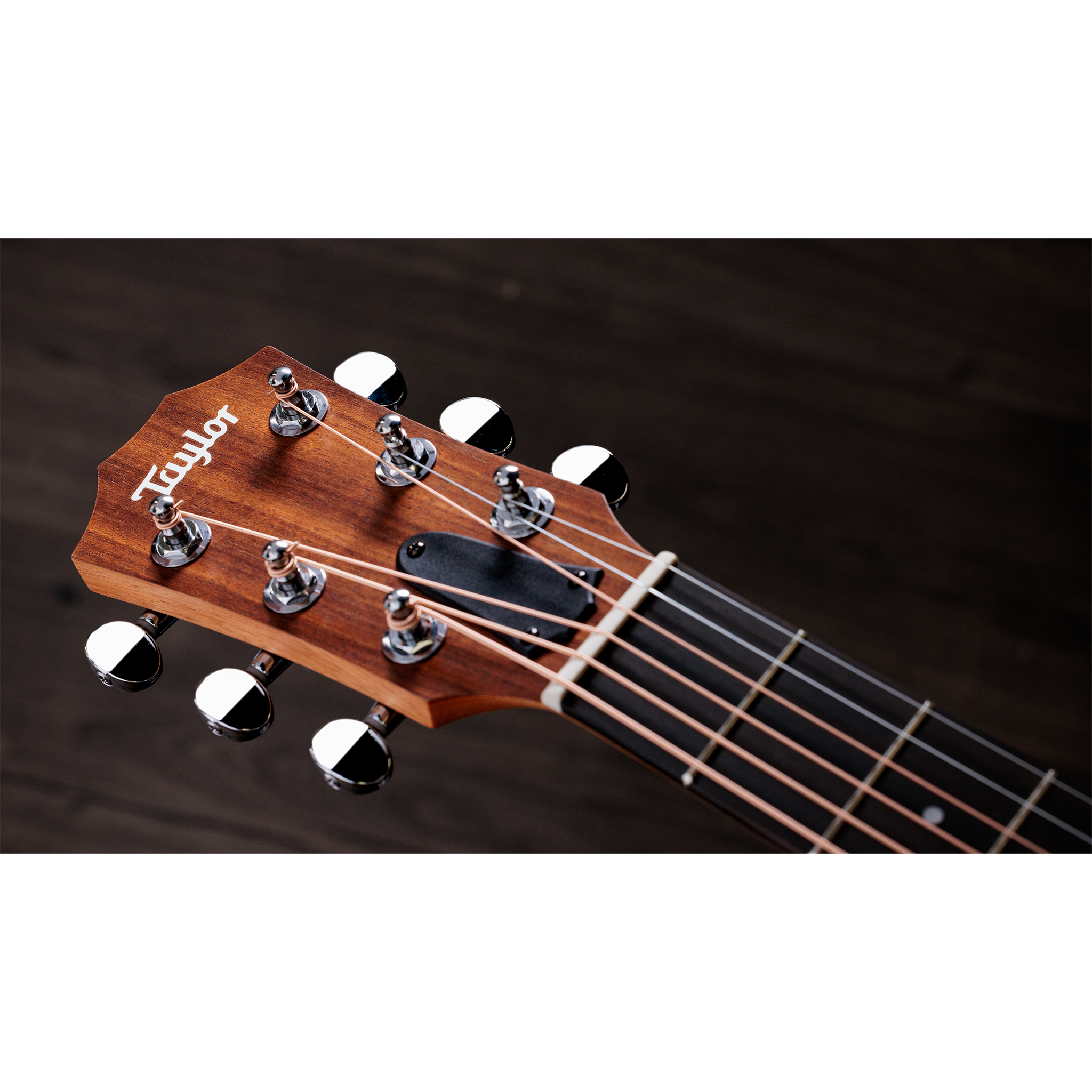  TAYLOR GSMINI SAPELE