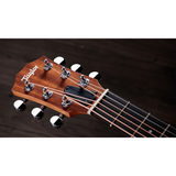  TAYLOR GSMINI SAPELE 