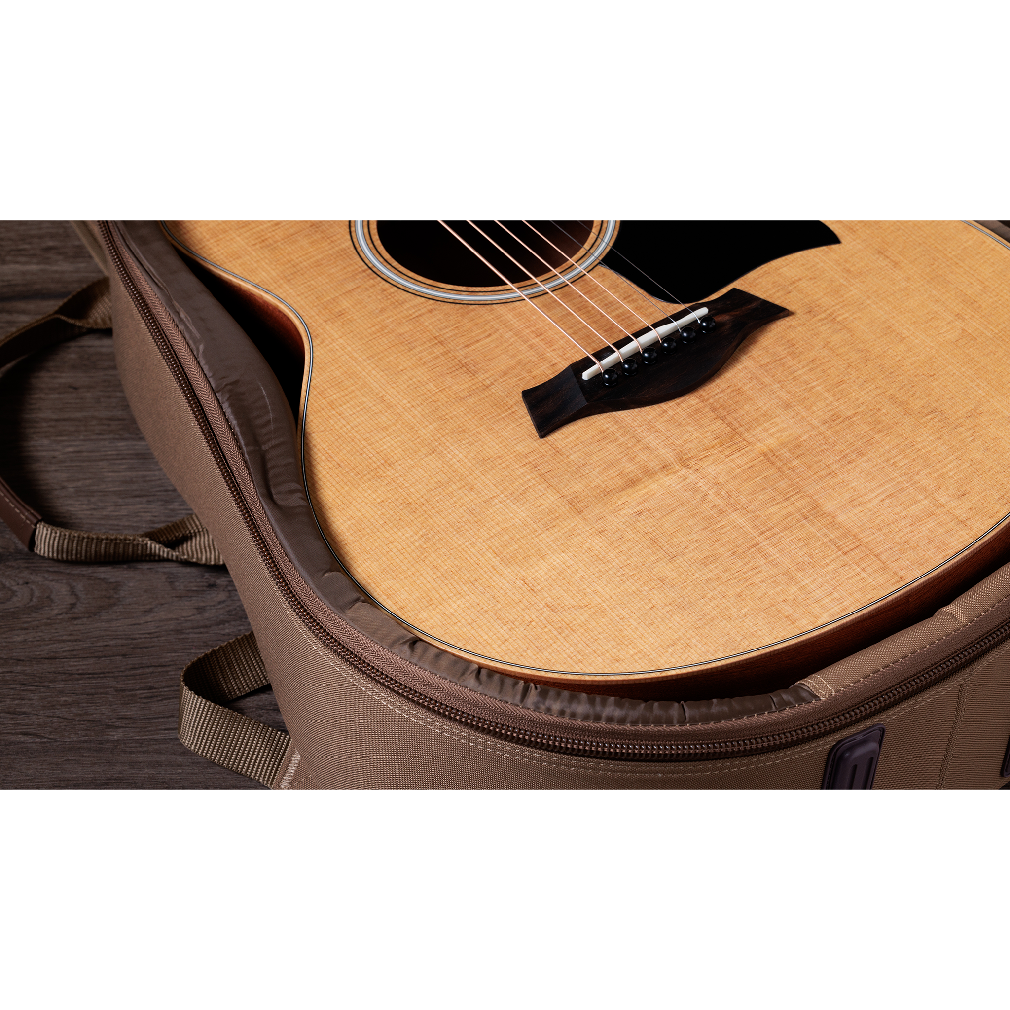  TAYLOR GSMINI SAPELE