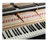  Kawai GX-1 