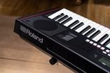  ROLAND E-X10 