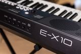  ROLAND E-X10 