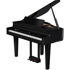 ROLAND GP-6-PE
