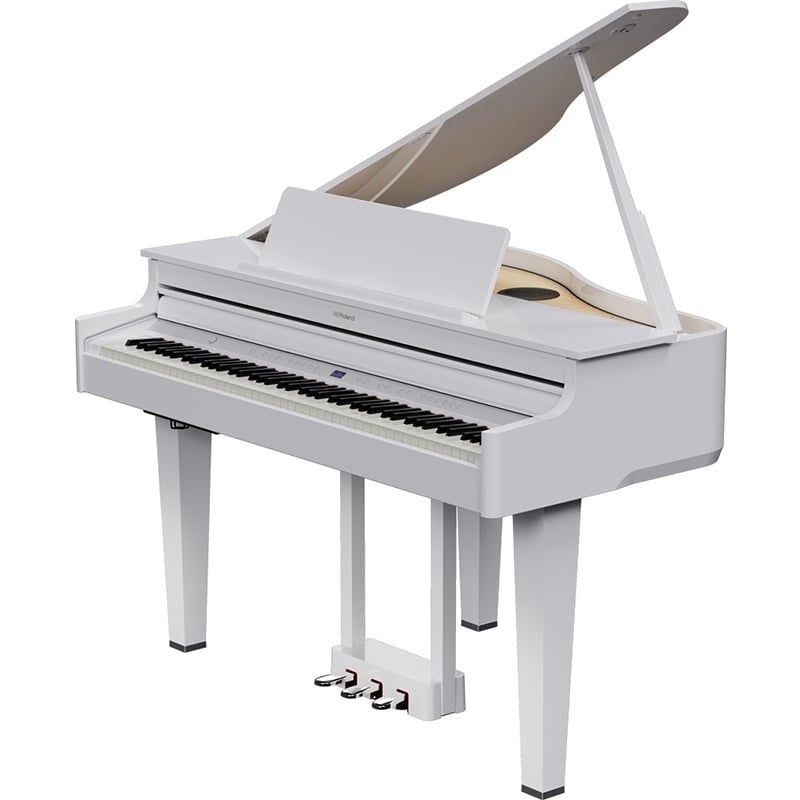  ROLAND GP-6-PW 