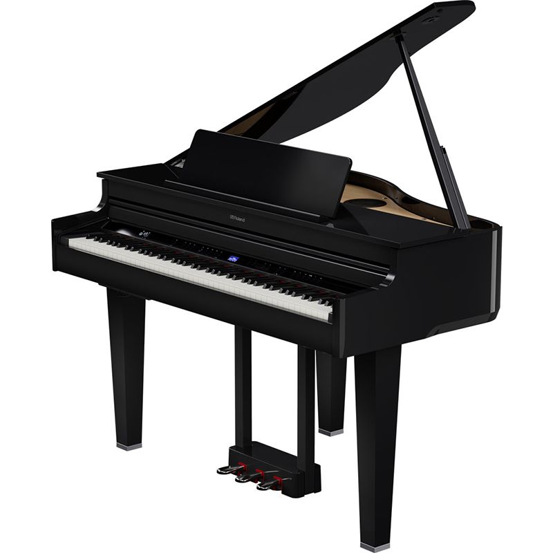  ROLAND GP-6-PE 