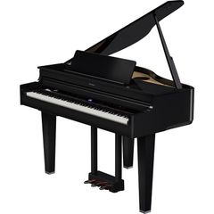 ROLAND GP-6-PE