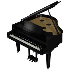 ROLAND GP-9M-PE