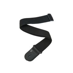 D'ADDARIO PWS100