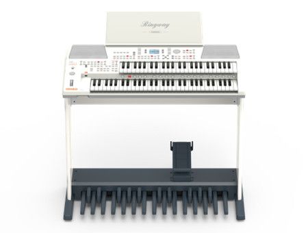  Organ Ringway RS520 