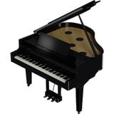  ROLAND GP-9-PE 