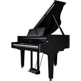  ROLAND GP-9-PE 