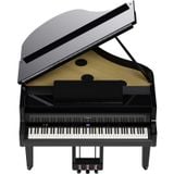  ROLAND GP-9-PE 