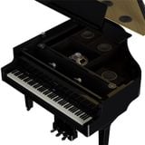  ROLAND GP-9-PE 