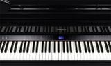  ROLAND GP-9-PE 
