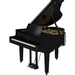 ROLAND GP-9-PE