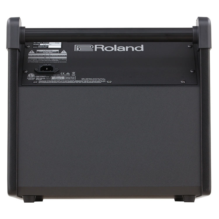  ROLAND PM-100