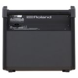  ROLAND PM-100 