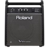  ROLAND PM-100 