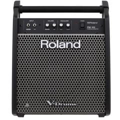 ROLAND PM-100
