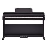  ROLAND RP-30 