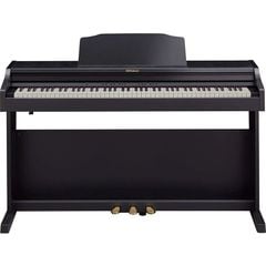 ROLAND RP-501R-CB
