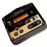  ROLAND TM-2 