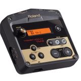  ROLAND TM-2 