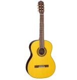  TAKAMINE GC5-NAT 