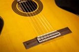  TAKAMINE GC5-NAT 