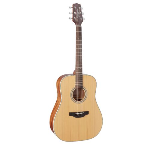  TAKAMINE GD20-NS 